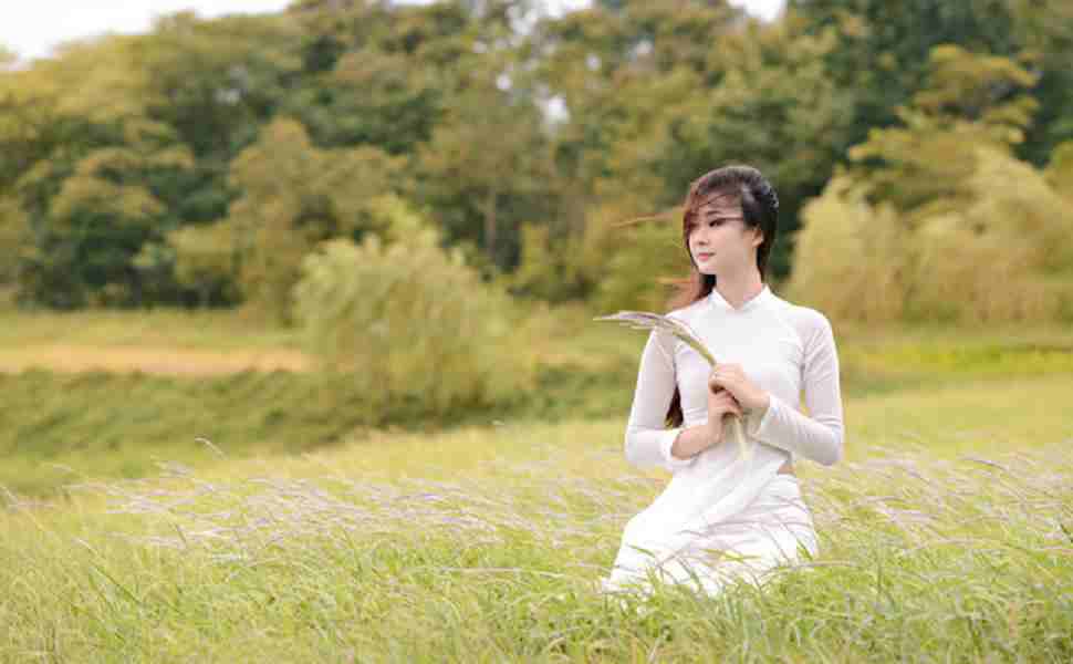 泛域名站群怎么制作